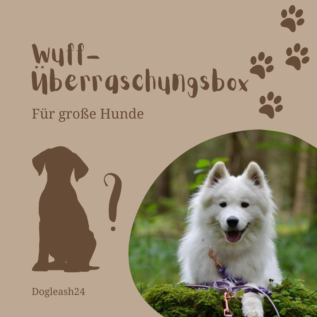 Wuff-Überraschungbox für große Hunde