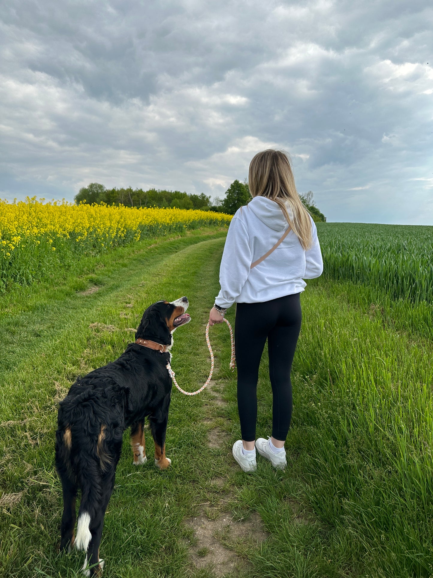 BioThane Leine "All in One"