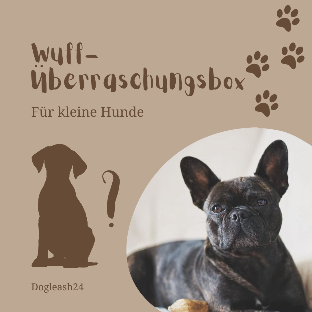 Wuff-Überraschungbox für kleine Hunde